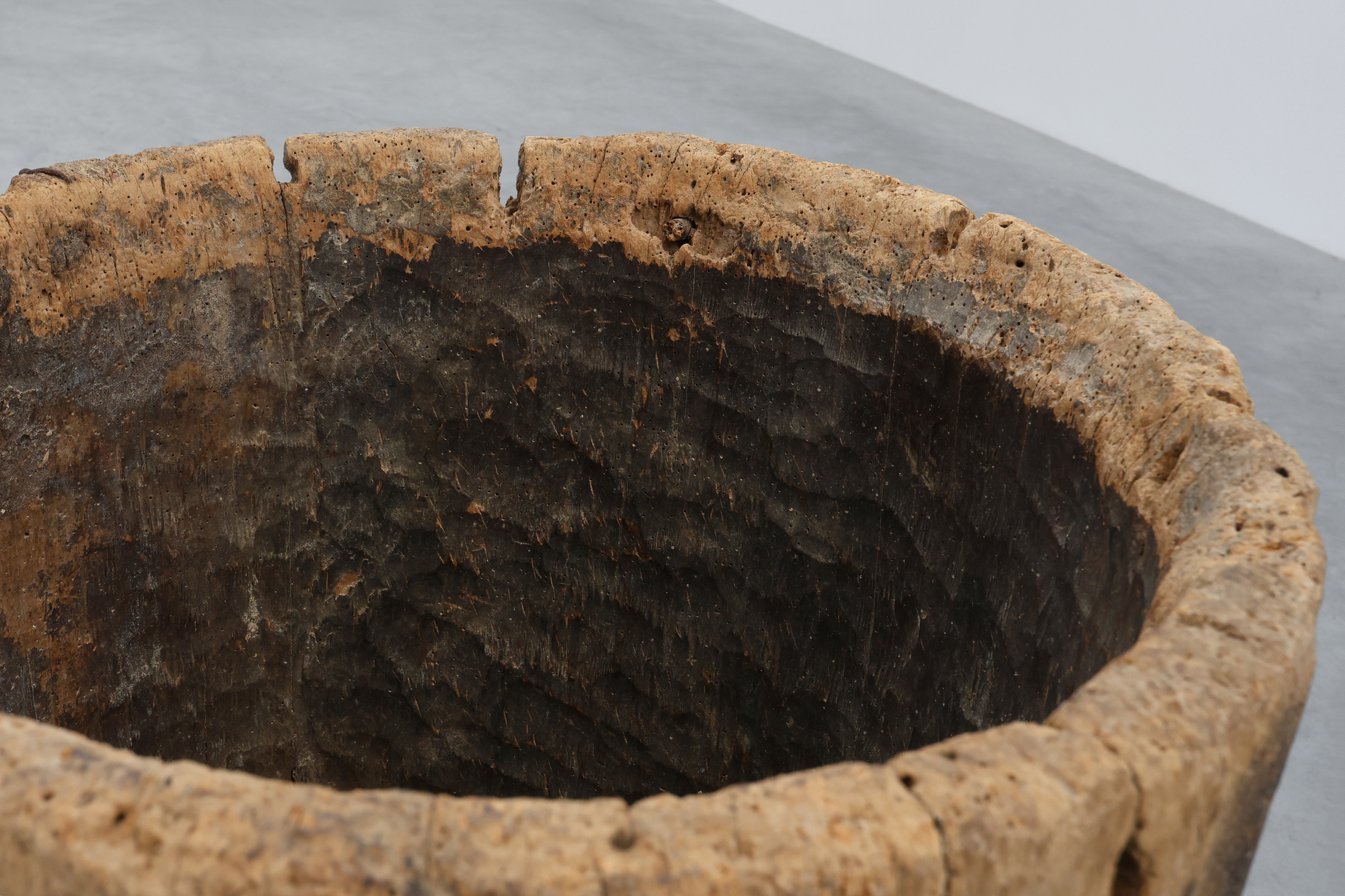 19th Century French Primitive Hollowed Oak Tree Trunk Planterthumbnail